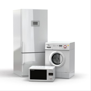 Assonet appliance services